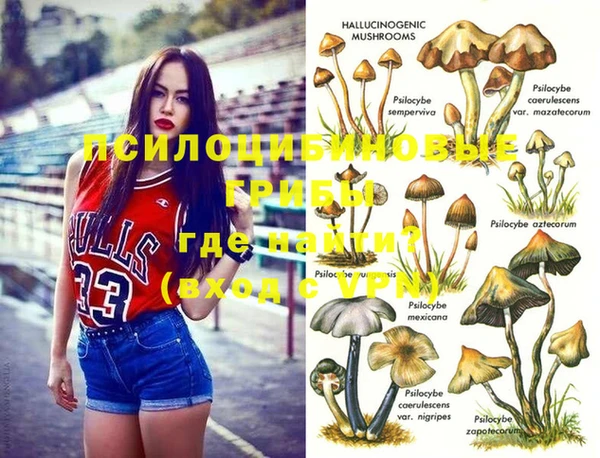 мяу мяу мука Алексин