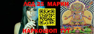сатива Нарткала