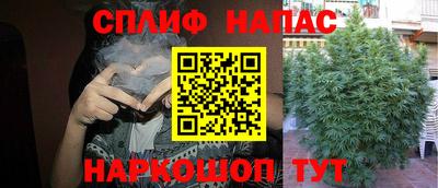 сатива Нарткала