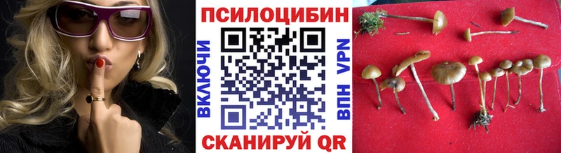 Галлюциногенные грибы мухоморы дарнет шоп mega Якутск