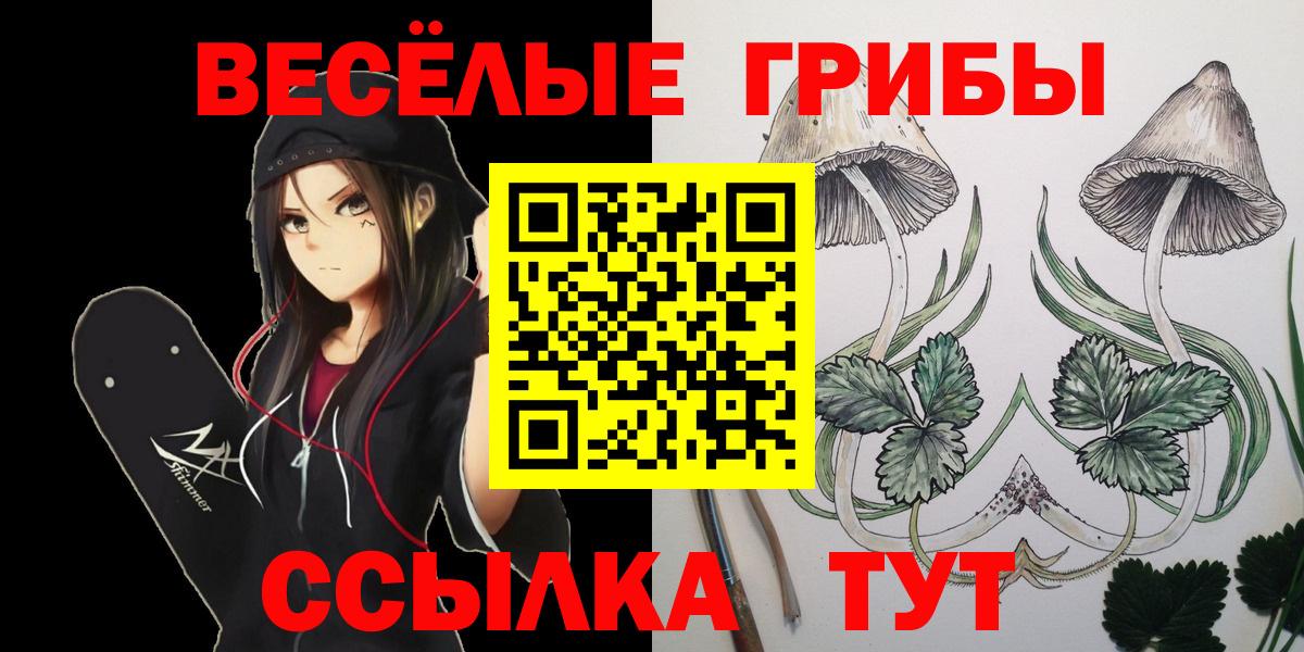 Якутск  Псилоцибиновые грибы Psilocybe  Вход с VPN 