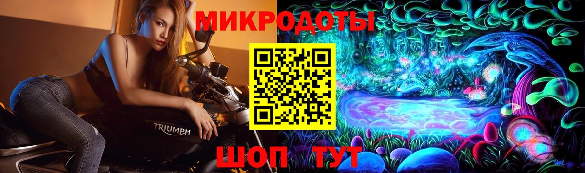 Галлюциногенные грибы Psilocybine cubensis Якутск